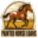 Painted Horse Loans
