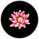 Palace Therapy Center