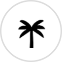 Palmetto Wholesale Cars