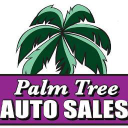 Palm Tree Cars