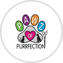 Paws for Purrfection