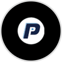 Paylink logo
