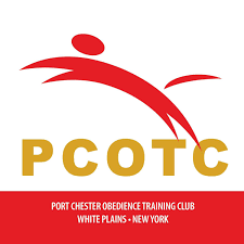 Pawcats of the Carolinas