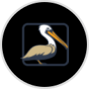 Pelican Bay Foundation