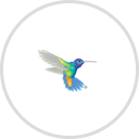 First Electronic Bank Loan