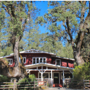 Petrified Forest National Park