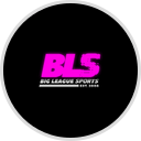 Play Big League Sports