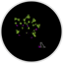 PLUMTREES ANIMA PLUMTREES