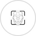 Pro Face Finder logo