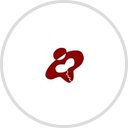 Progressive Life Insurance Company