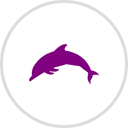 Purple Dolphin Bath