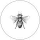Queen Bee Homestead Co. logo