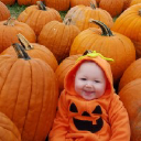 Rapid Express Online