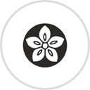 RareSeeds logo