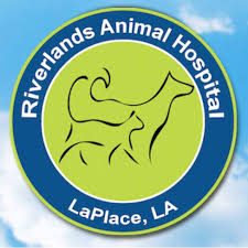 Riverlands Animal Hospital