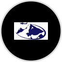 Avemco Non-Owned Aircraft Policy