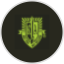 Robinson Armament Company