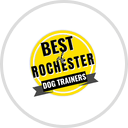 Rochester Dog Trainers