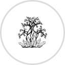 Rocks for the Spirit