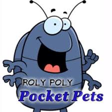 Roly Poly Pocket Pets