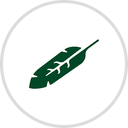 Roots and Wings Psychology