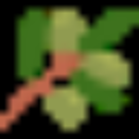 Rose & Olives Restaurant