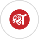 rose for square
