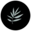 ROSE Ingleton MD Skin