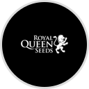 Royal Queen Seeds