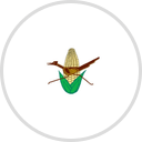 Rural Development Federation