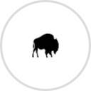 Rustic Buffalo Decor