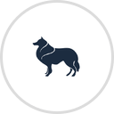 Rutland Veterinary Hospital