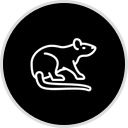 Safe Pro Pest Control