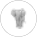 Salt Lake Pizza & Pasta