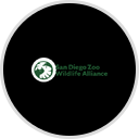 Z SD ZOO-ITURI FD CT