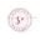 Scenic City Boutique