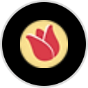 Schat's Bakery & Cafe