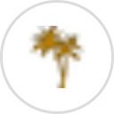 Schooners Santa Clarita