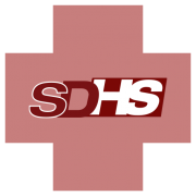 SDHS Inc.