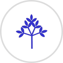 San Diego Regional Chamber of Commerce