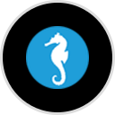 Seahorse Aquariums