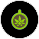 Seed & Bean Market logo