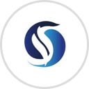 SEJA VIRTUAL S.A. DE C.V.