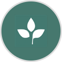 Shop for the Health of It