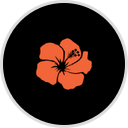 91263 - INTERNATIONAL