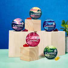 Kiva Confections - Camino Midnight Blueberry 'Sleep' 5mg CBN Gummies