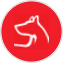 Sit Means Sit Dallas