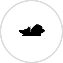 Skaist the Limit Training