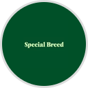 Special Breed