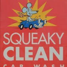 Squeaky Clean Car